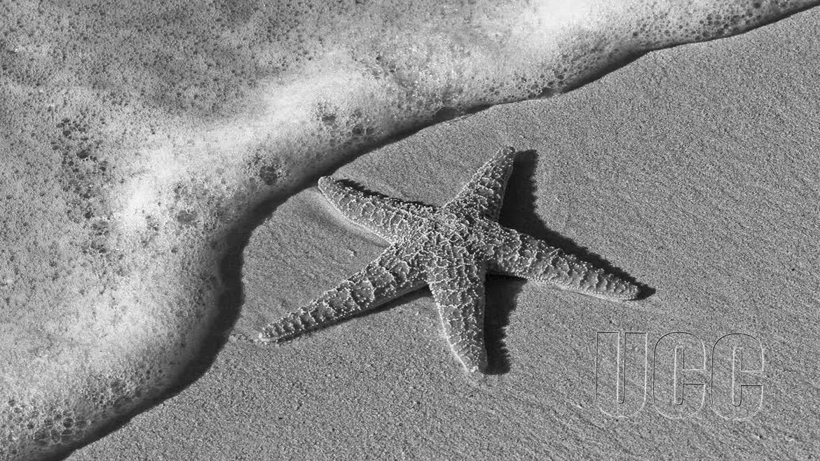 School of Agriculture Organises Short Course for Surveyors